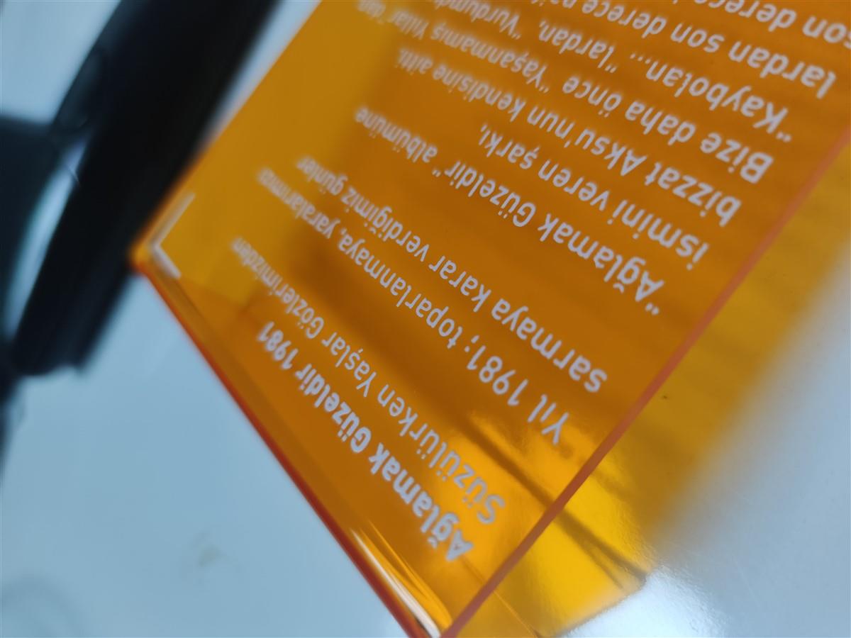 1827-sezen-aksu-sergi-tanitim-pleksi-levha-13