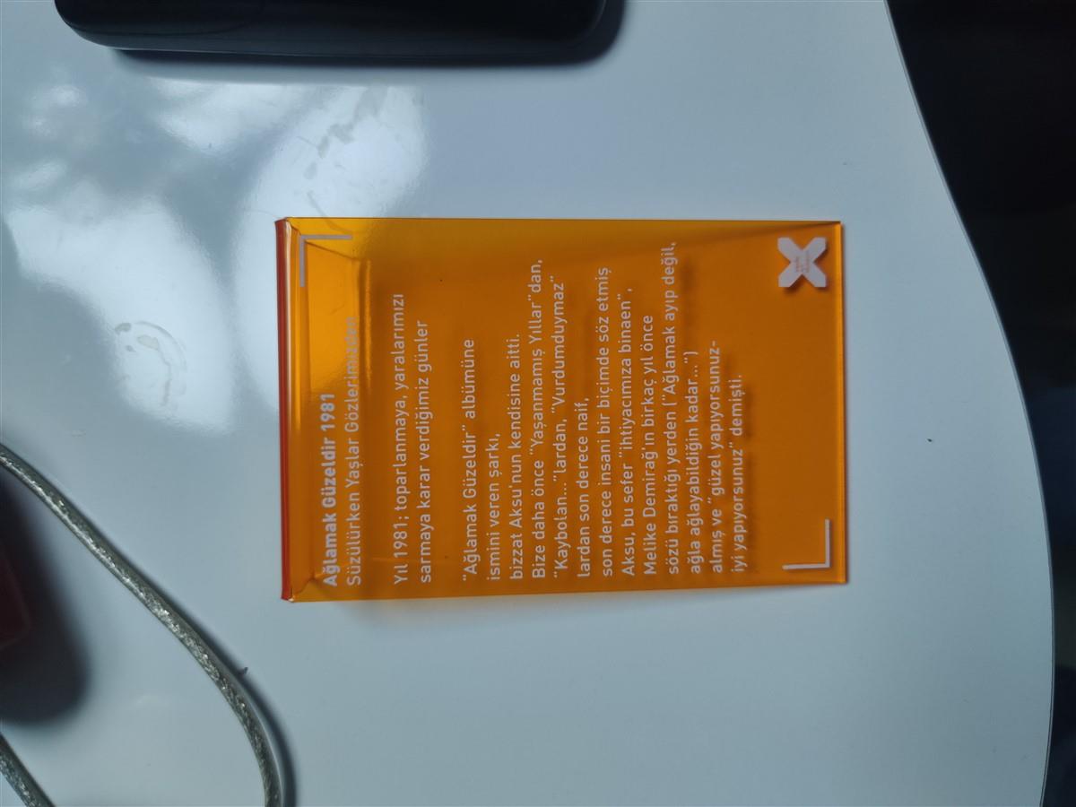 1828-sezen-aksu-sergi-tanitim-pleksi-levha-37