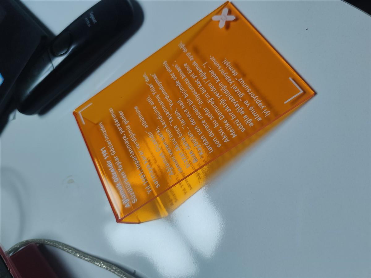 1829-sezen-aksu-sergi-tanitim-pleksi-levha-546